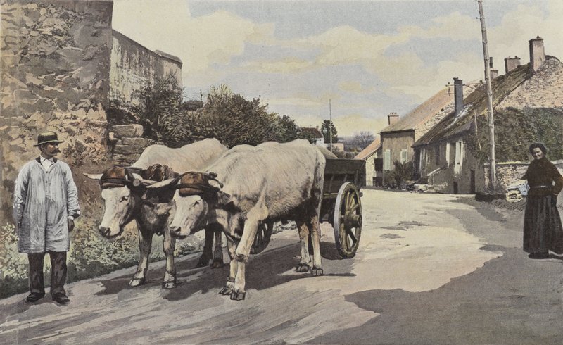 Saulieu, Un carruaje en el Morvan de French Photographer