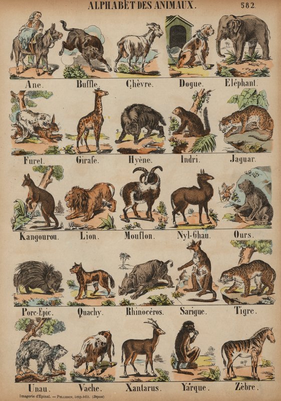 De la A a la Z de los animales de French School