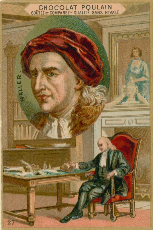 Albrecht von Haller de French School
