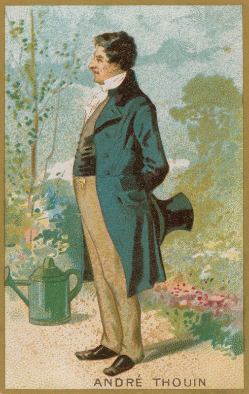 André Thouin de French School