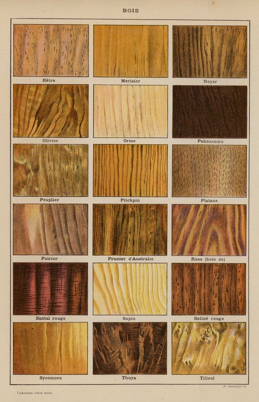 Madera (litografía en color) de French School