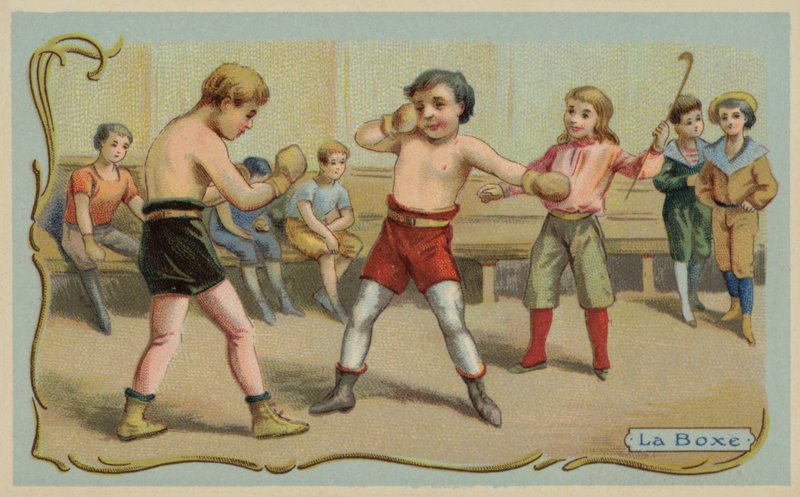 Boxeo de French School