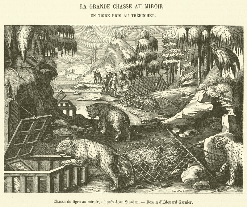 Caza del tigre con espejo de French School