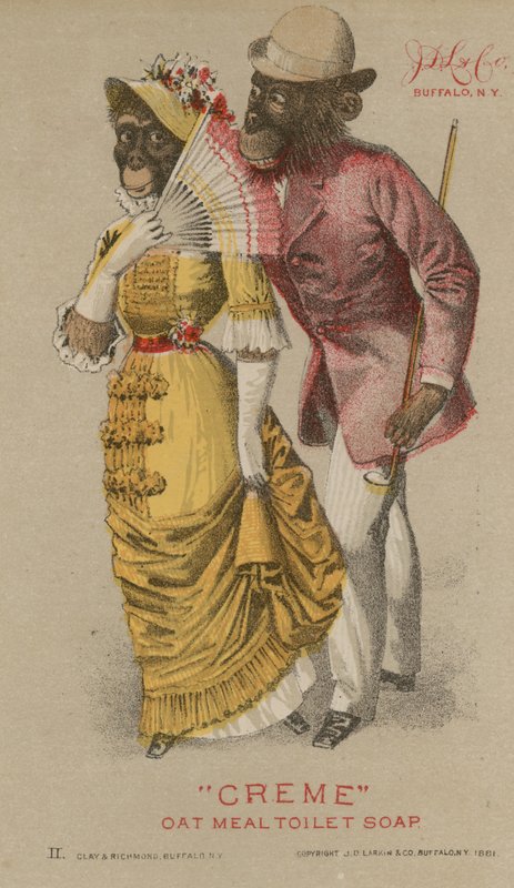 Chimpancés con ropa de moda de French School
