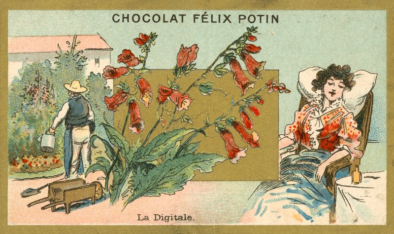 Digital de French School