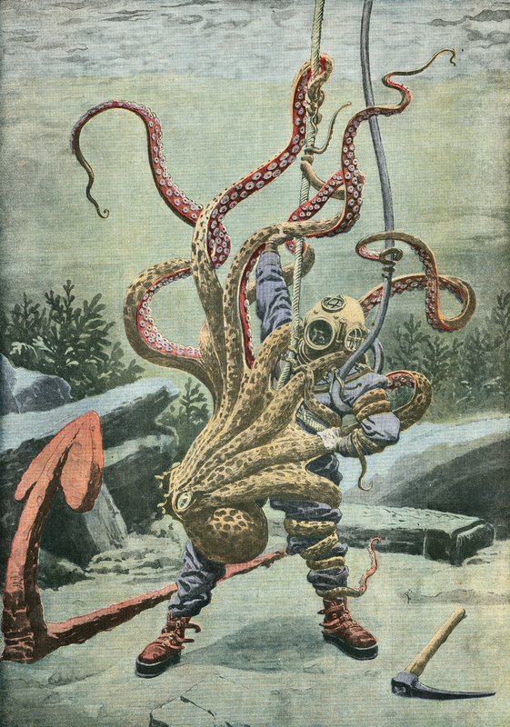 Buzo atacado por un pulpo de French School