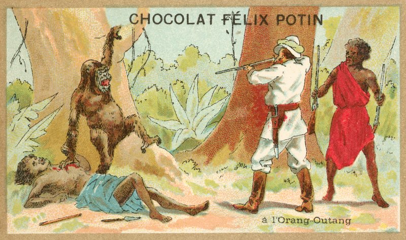 Caza de orangután de French School