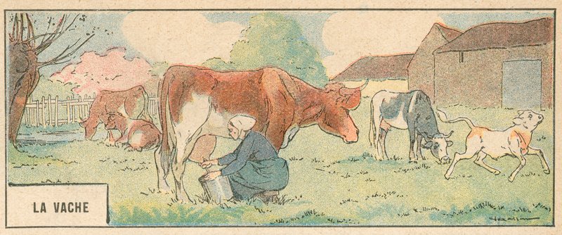 La Vaca de French School