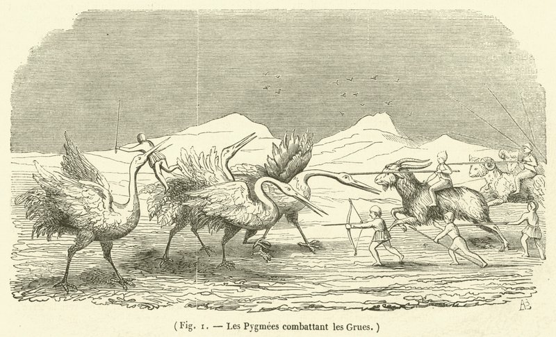 Los pigmeos combatiendo las grullas de French School