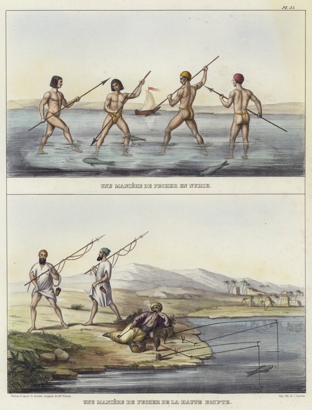 Métodos de pesca en Nubia y Egipto de French School
