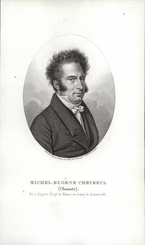 Michel Eugene Chevreul de French School