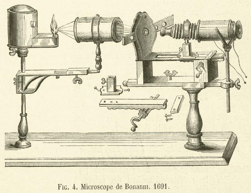 Microscopio de Bonanni de French School