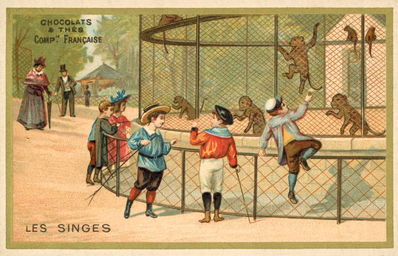 Monos de French School