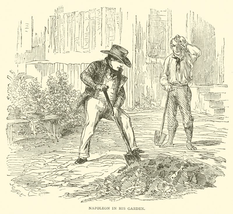 Napoleón en su jardín de French School