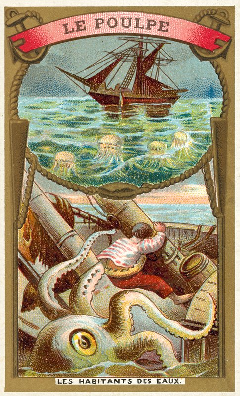 Pulpo de French School