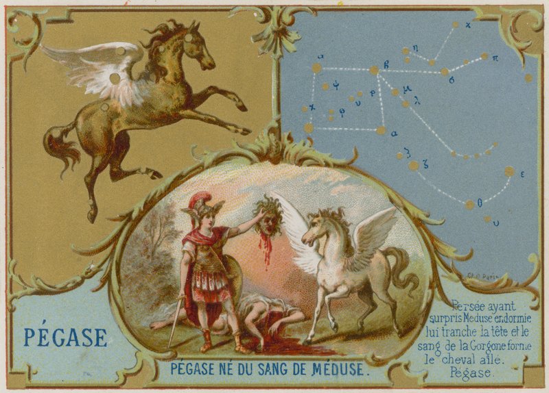 Pegaso de French School