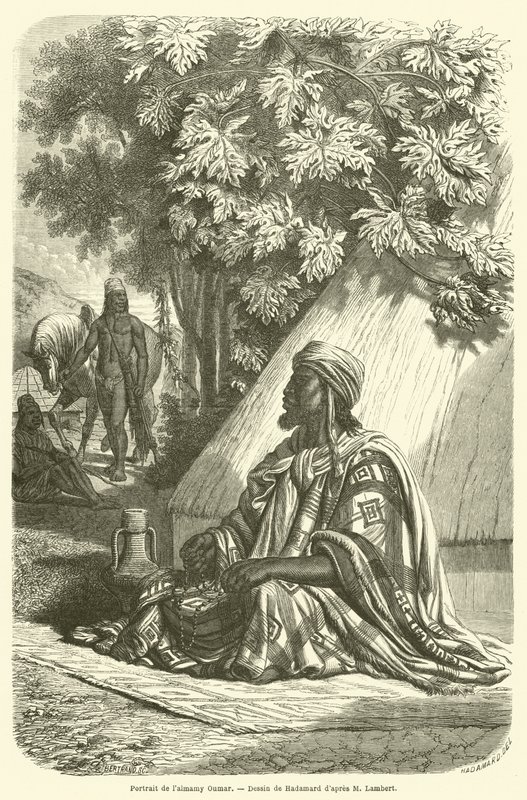 Retrato del almamy Oumar de French School