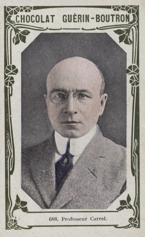 Profesor Carrel de French School