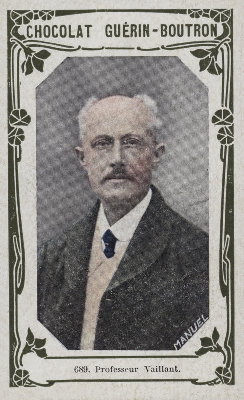 Profesor Vaillant de French School