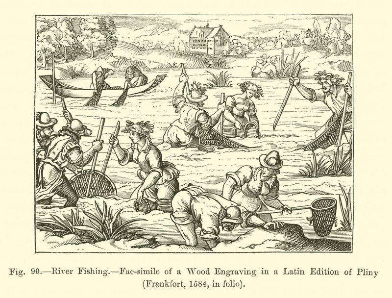 Pesca en el Río de French School