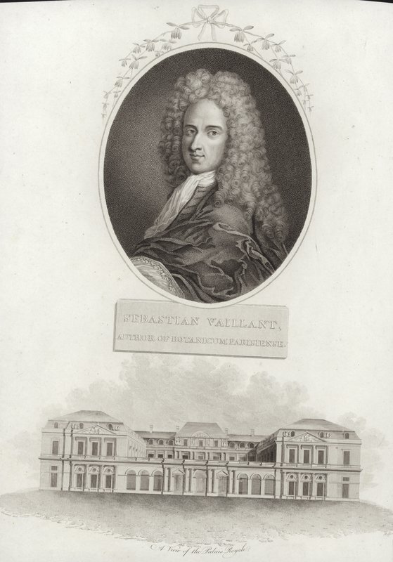 Sébastien Vaillant de French School