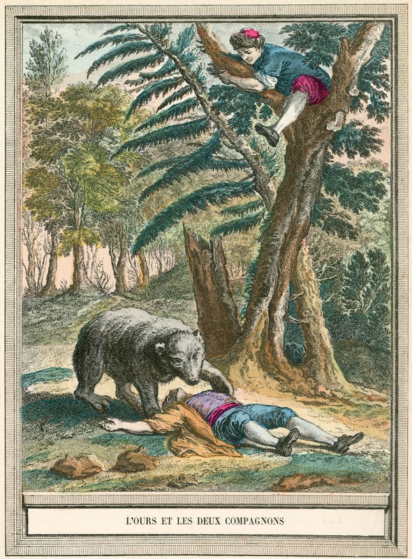 El oso y los dos compañeros de French School