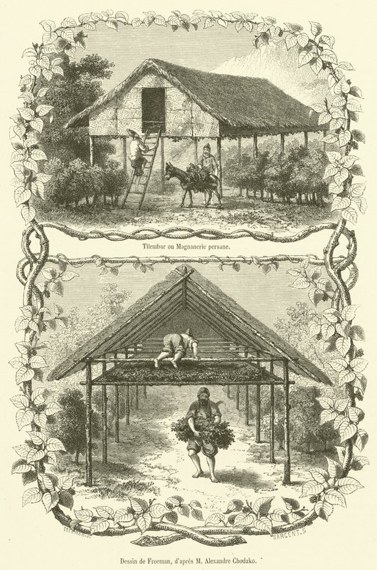 Tilembar o Magnanería persa (grabado) de French School
