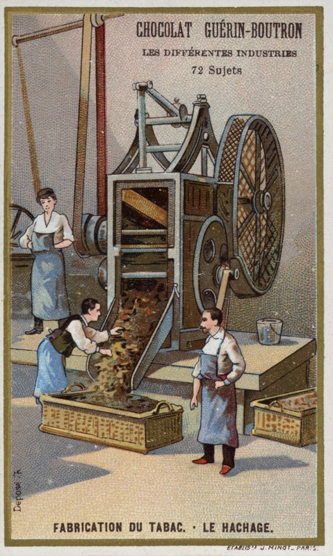 Fabricación de tabaco. Trituración de hojas de French School