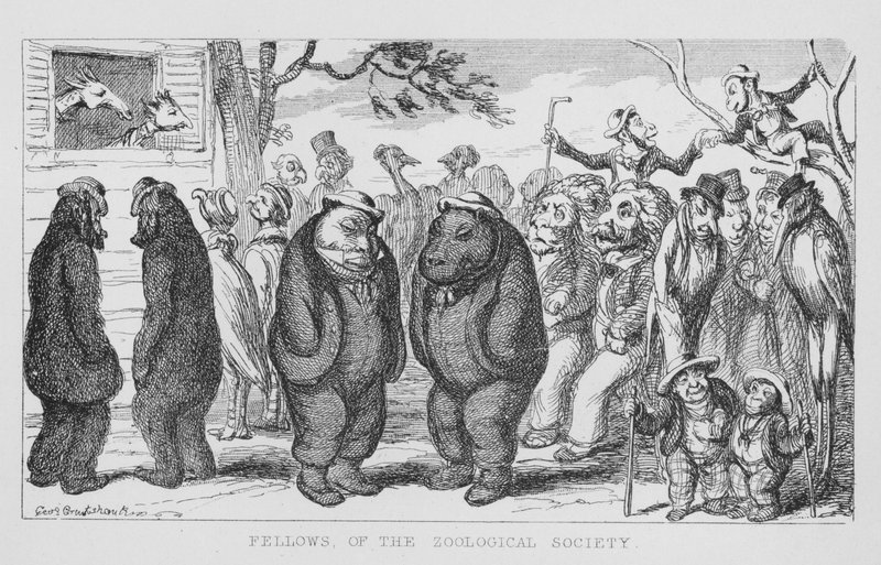 Miembros de la Sociedad Zoológica de George Cruikshank