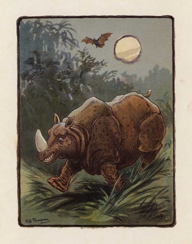 Rinoceronte (litografía en color) de George Henry Thompson