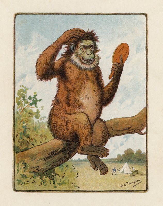 El mono (litografía en color) de George Henry Thompson