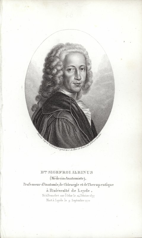 Bernhard Siegfried Albinus de German School