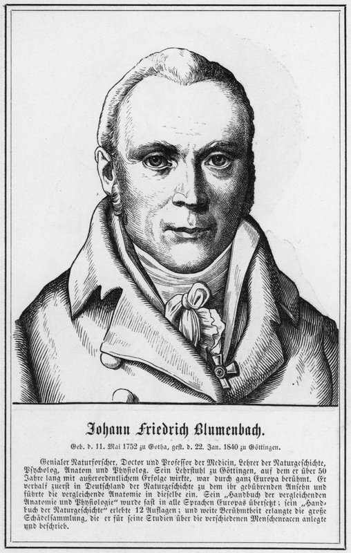 Johann Friedrich Blumenbach (grabado) de German School