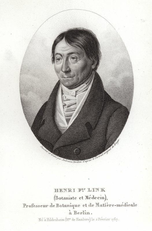 Johann Heinrich Friedrich Link de German School