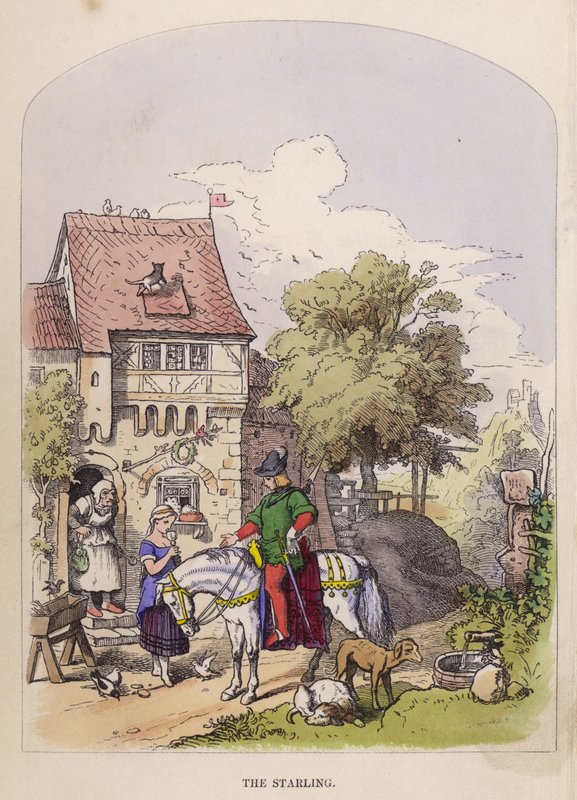 El Estornino de German School