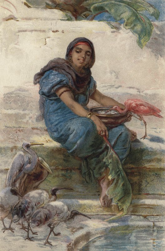 Alimentando a los pájaros sagrados de Guido Bach