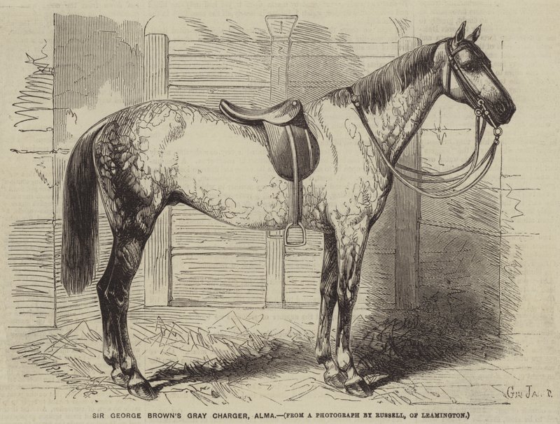 El caballo gris de Sir George Brown, Alma de Gustave Janet