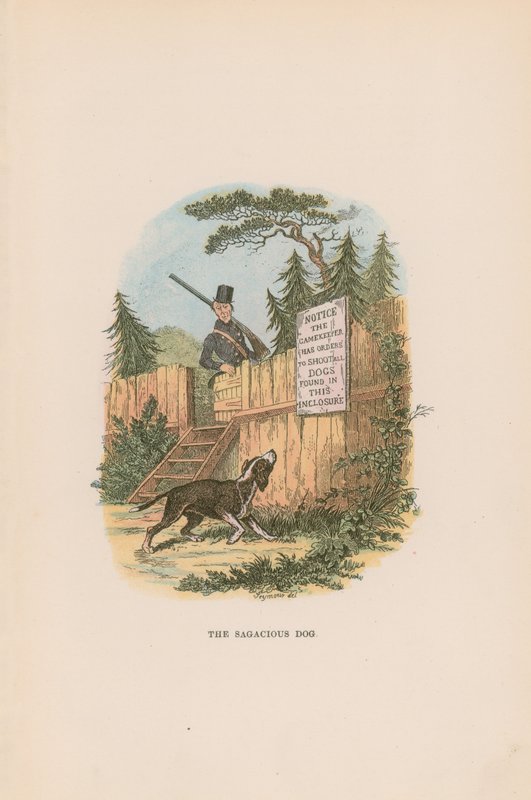 Ilustración para Pickwick Papers de Hablot Knight Browne