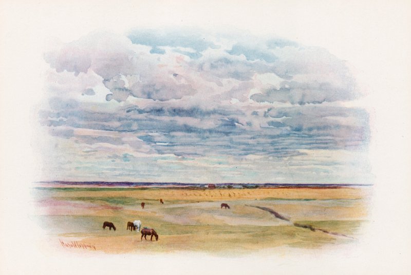 La pradera en Elstow, Saskatchewan de Harold Copping