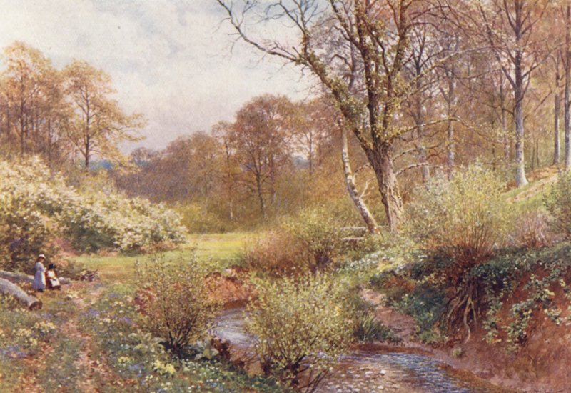 En Spring Woods, Ockley (litografía en color) de Harold Sutton Palmer