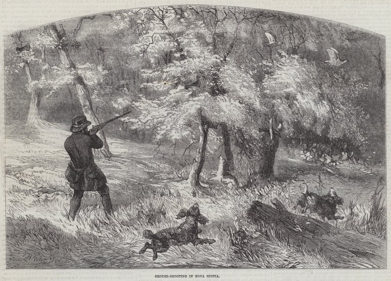 Caza de Urogallos en Nueva Escocia de Harrison William Weir