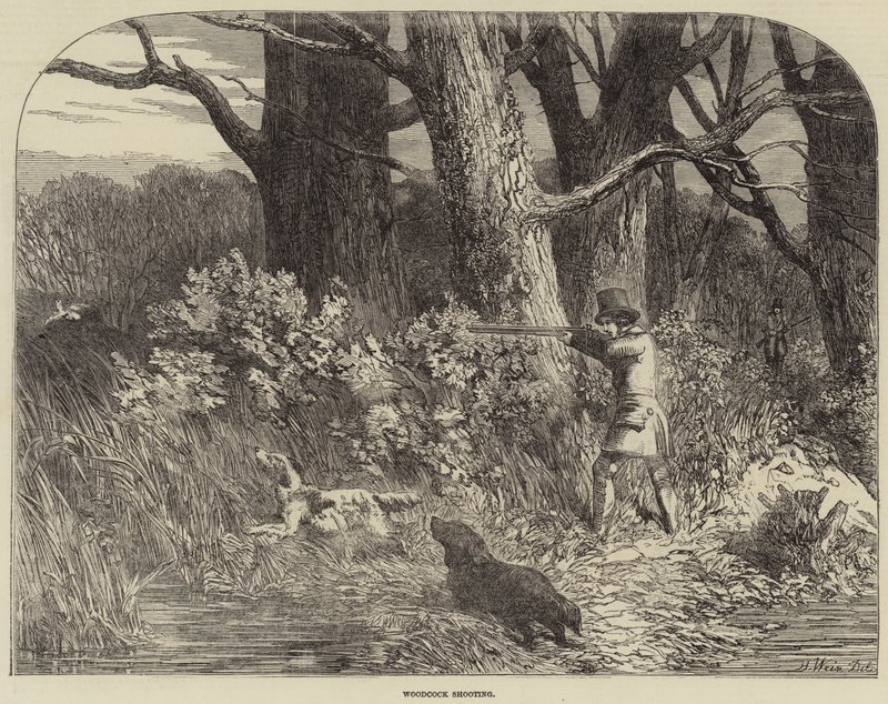 Caza de becadas de Harrison William Weir