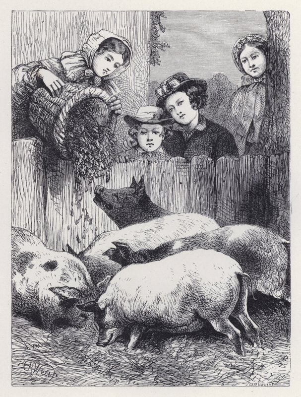 Alimentando a los Cerdos de Harrison William Weir