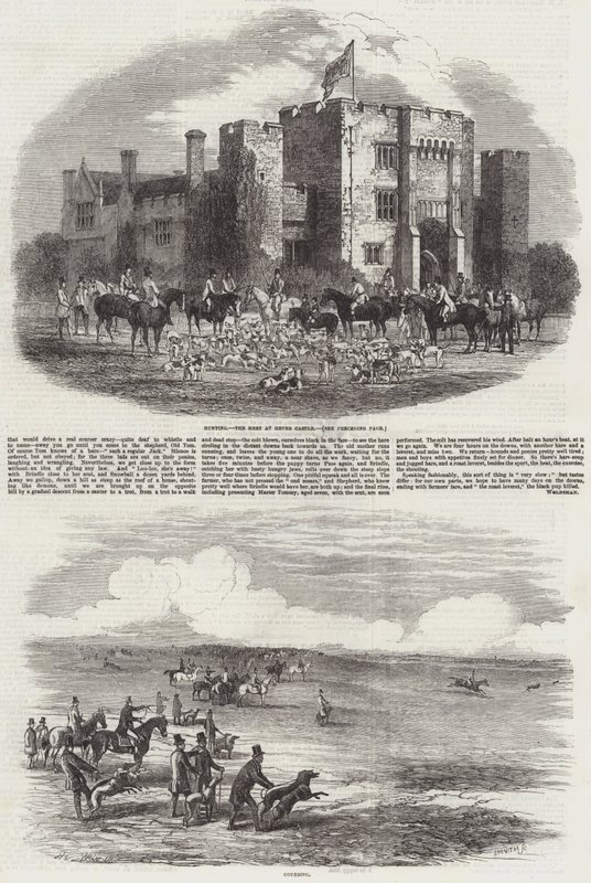 Caza y Cetrería de Harrison William Weir