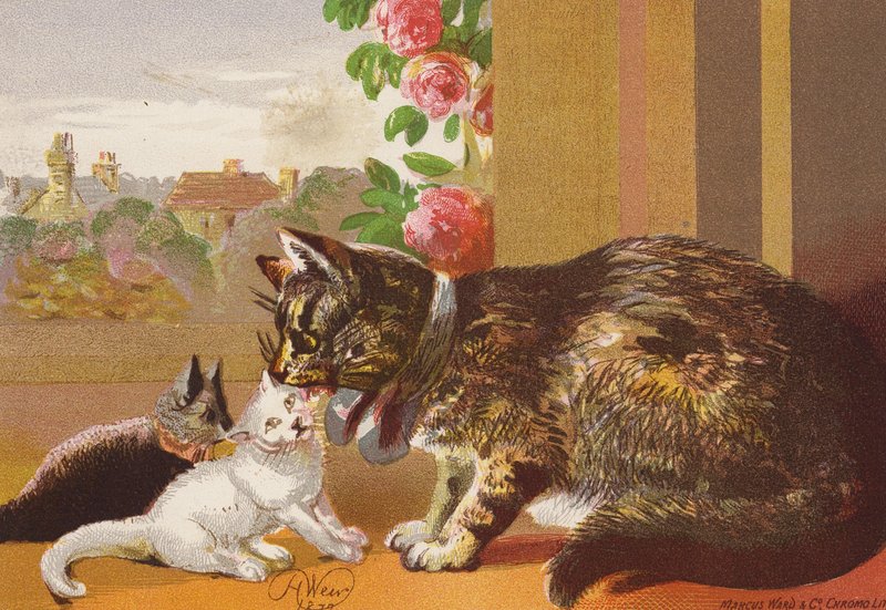 Puss and her Kittens (litografía en color) de Harrison William Weir