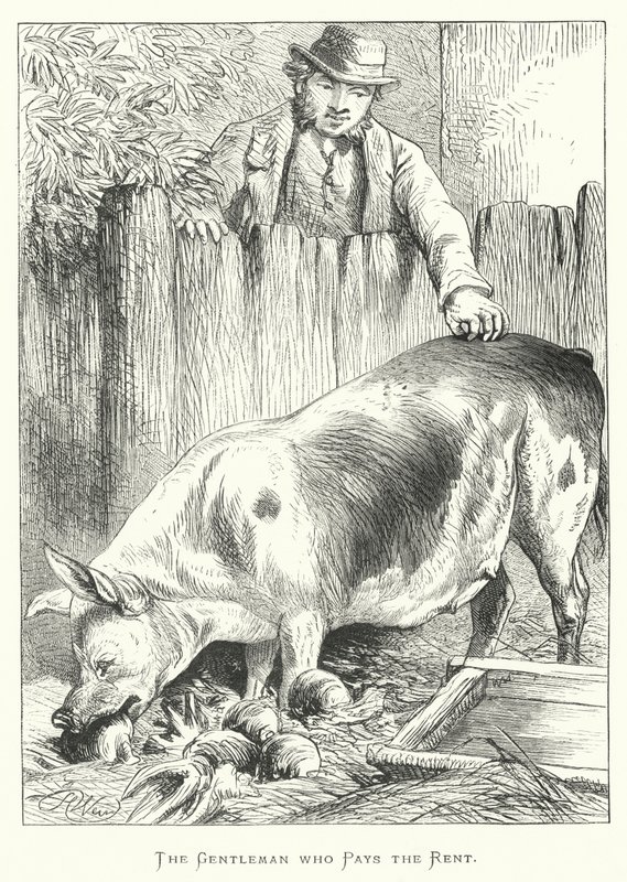 El caballero que paga el alquiler de Harrison William Weir