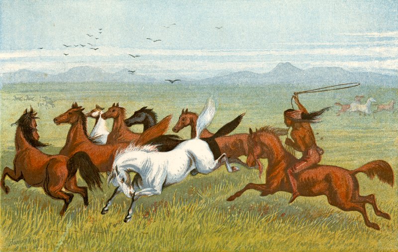 El Caballo - 