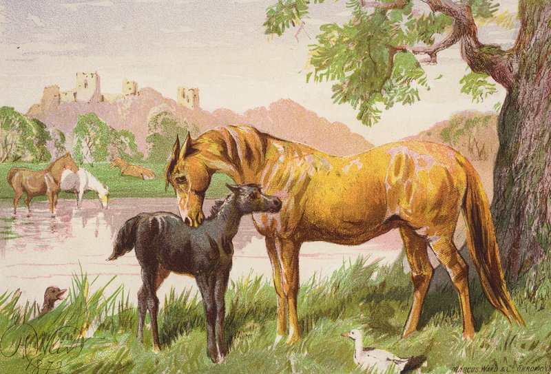 El castillo en ruinas (litografía en color) de Harrison William Weir
