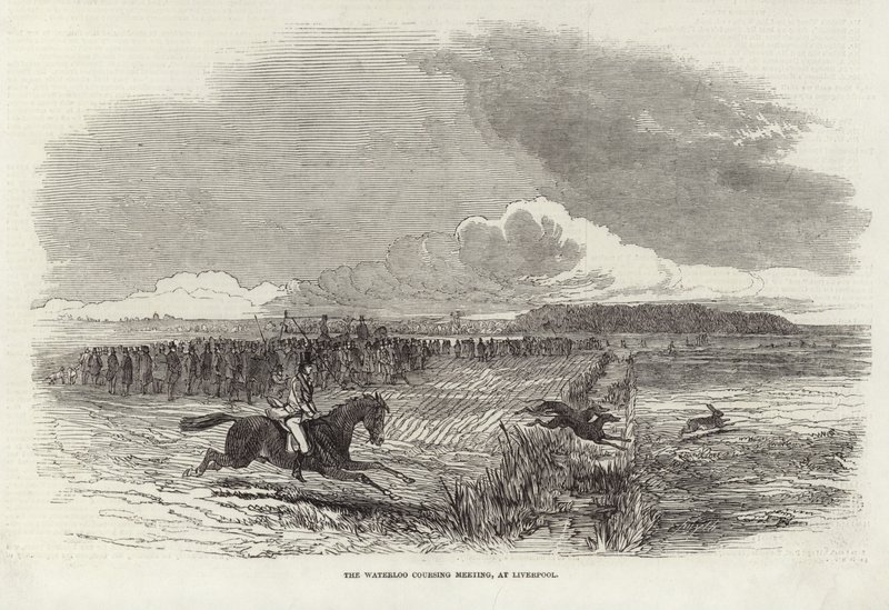 La Reunión de Caza de Waterloo de Harrison William Weir