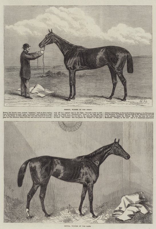 Caballo de carreras de Harry Hall